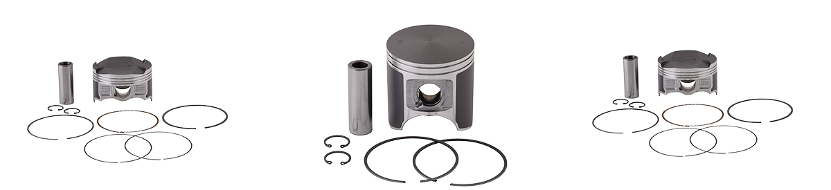 Kawasaki Piston Kits & Rings
