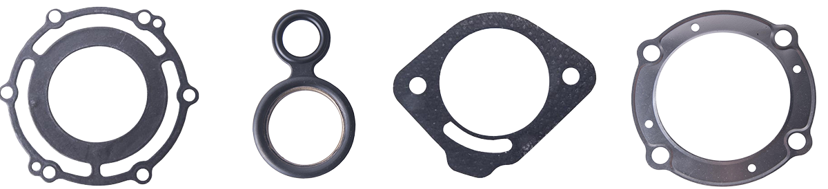 Kawasaki Miscellaneous Gaskets