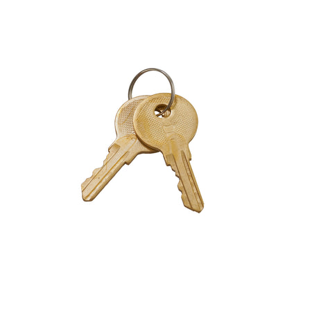 Trailer hitch lock with pin for Jet Ski trailer couplers, keyed locking mechanism to secure hitch connection