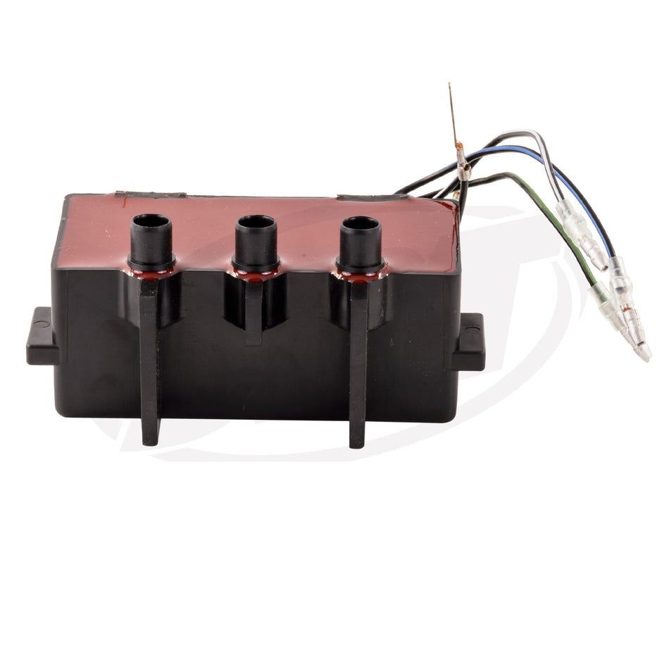 Ignition Coil for Polaris Genesis/Pro 1200/SLX/Virage TX  4010342