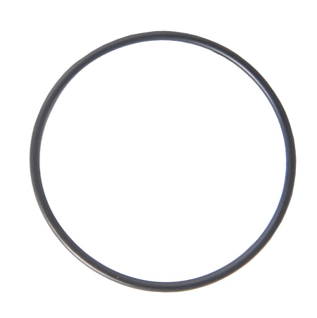 Deluxe Earth Plate O-ring for Yamaha VX1100 Sport, VX1100 Deluxe and VX110 3-person WaveRunner Jet Ski