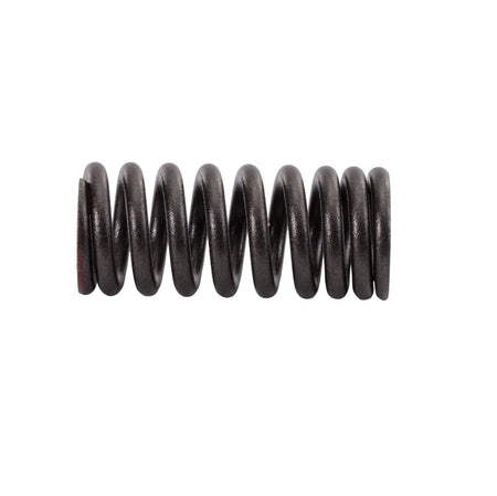 Yamaha intake valve spring 4XV-12113-00-00 for VX110 Deluxe WaveRunner Jet Ski select models