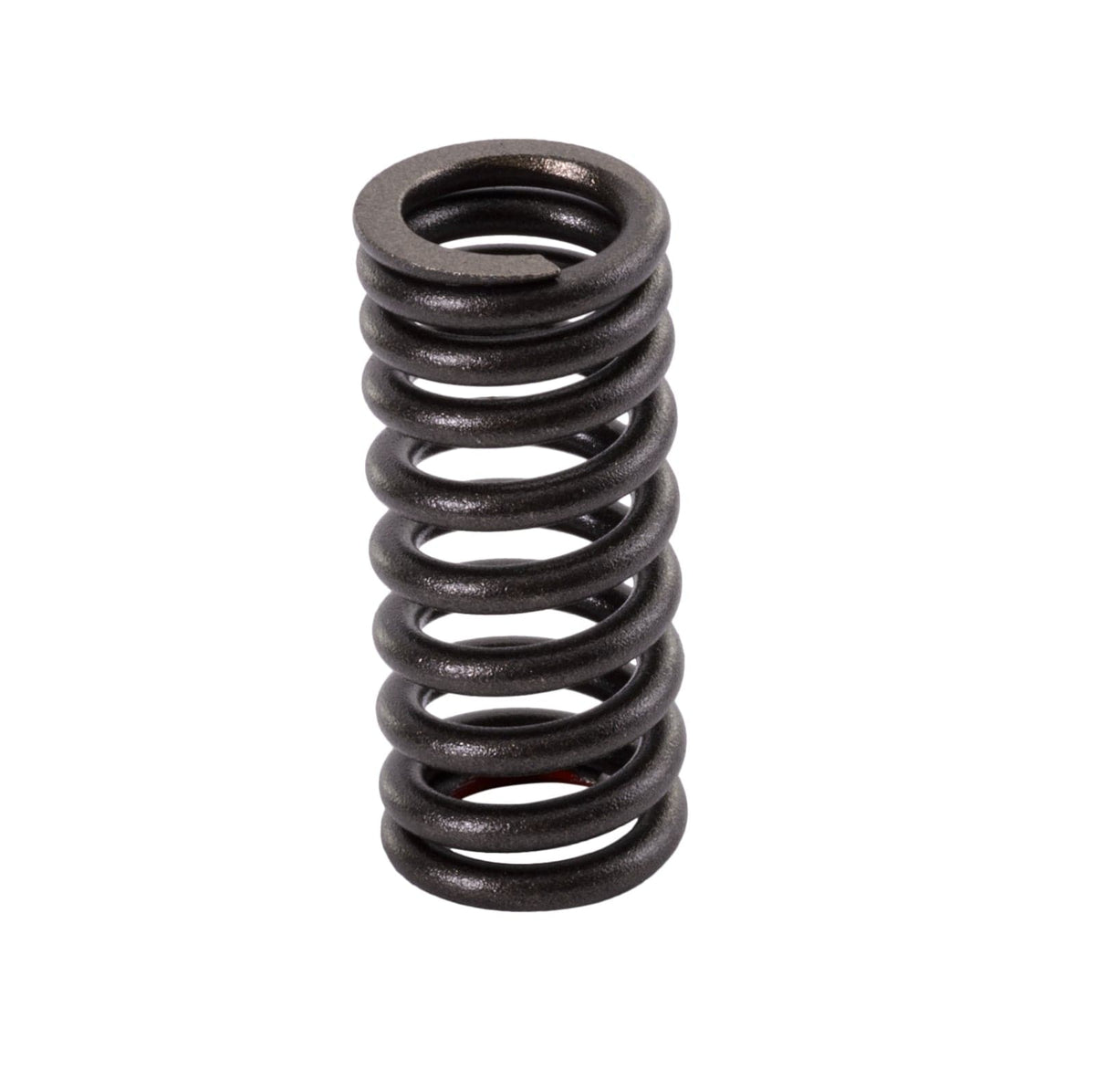Yamaha intake valve spring 4XV-12113-00-00 for VX110 Deluxe WaveRunner Jet Ski select models