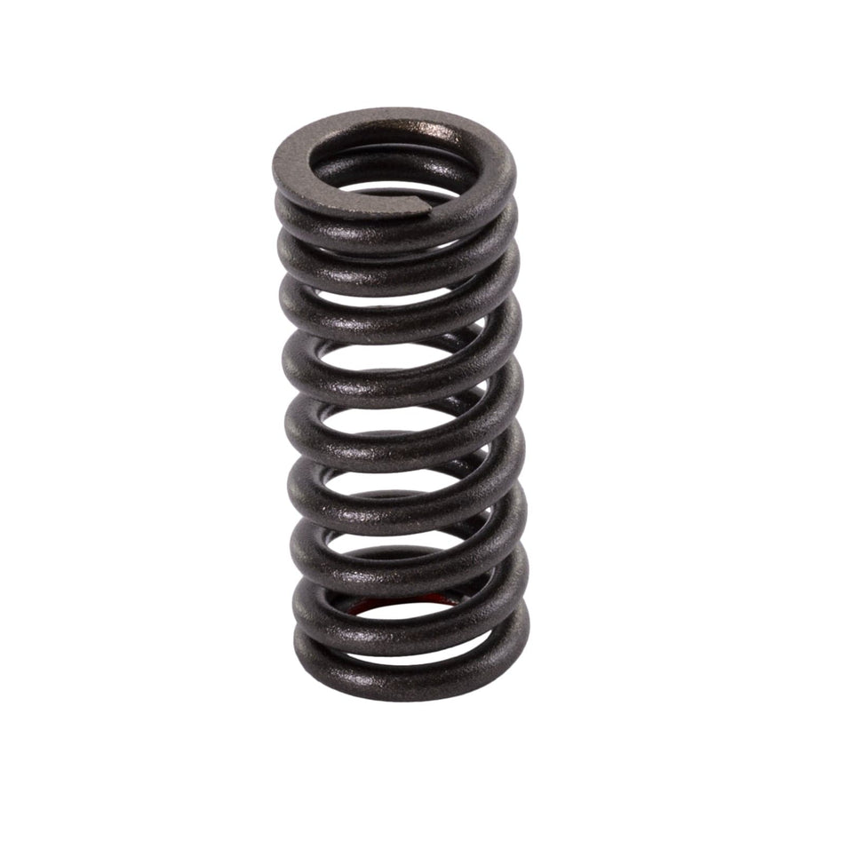 Yamaha intake valve spring 4XV-12113-00-00 for VX110 Deluxe WaveRunner Jet Ski select models