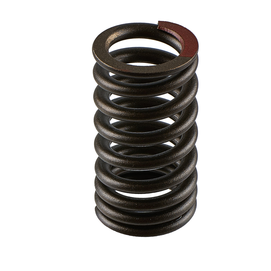 Yamaha Valve Spring 8GL-12113-00-00 for WaveRunner EX and EX Deluxe (select models) Jet Ski