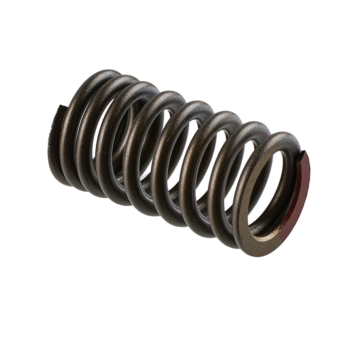 Yamaha Valve Spring 8GL-12113-00-00 for WaveRunner EX and EX Deluxe (select models) Jet Ski