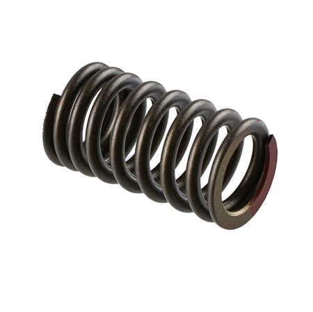Yamaha Valve Spring 8GL-12113-00-00 for WaveRunner EX and EX Deluxe (select models) Jet Ski