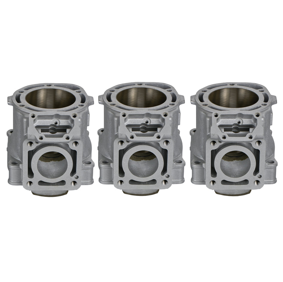 Bare cylinder set for Yamaha WaveRunner Jet Ski, part numbers 66V-W1130-00-94 and 66V-W1130-00-00