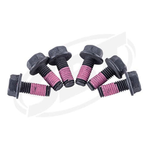 Sea-Doo magneto screw kit 295501043 for GTI 130 and GTI SE 155 select models Jet Ski